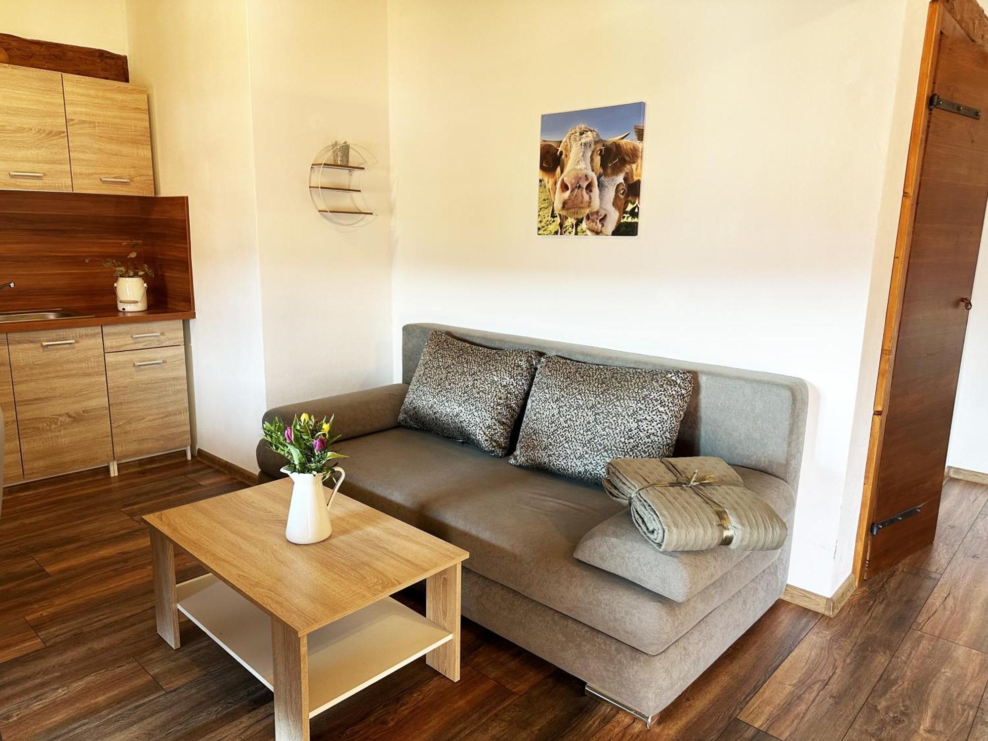 Farma Náhlov Apartman Frymburk Kültér fotó